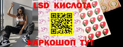 spice Берёзовский