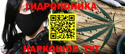 хмурый Бийск