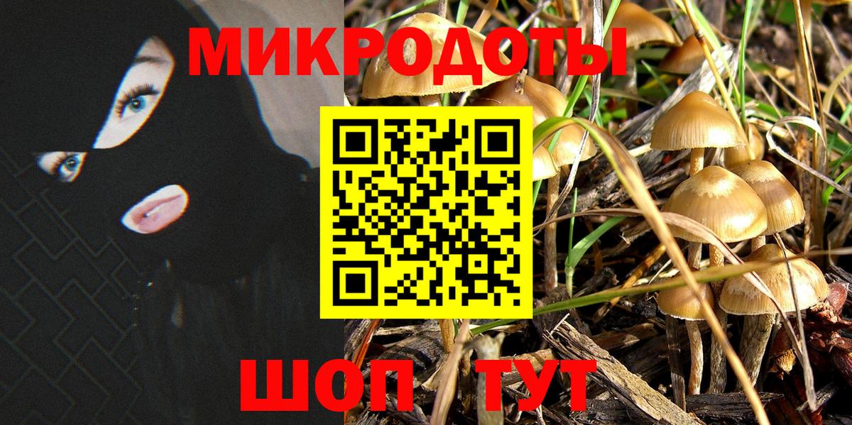Псилоцибиновые грибы прущие грибы Артёмовский